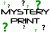 Mystery Print Mask Order